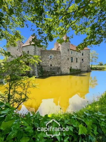 Château à vendre au coeur du bocage bourbonnais sur un parc de 1,5 Ha