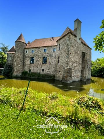 Château à vendre au coeur du bocage bourbonnais sur un parc de 1,5 Ha