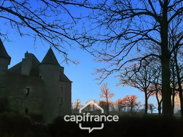 Château à vendre au coeur du bocage bourbonnais sur un parc de 1,5 Ha