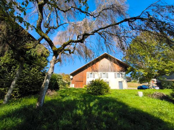 Ferme VIUZ EN SALLAZ (74)