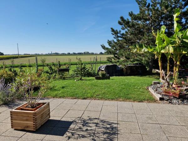Vente / Maison à Munwiller (68250)