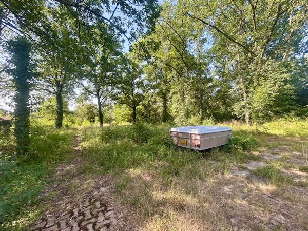 MONTLHERY - TERRAIN DE 5 000 M2 avec DEUX MAISONS ÉDIFIÉES SANS PC - GROS TRAVAUX À PRÉVOIR