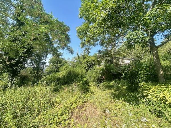 MONTLHERY - TERRAIN DE 5 000 M2 avec DEUX MAISONS ÉDIFIÉES SANS PC - GROS TRAVAUX À PRÉVOIR