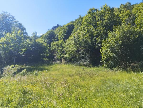 Terrain à FLORAC TROIS RIVIERES, 48400 - 2500m²