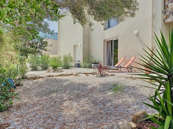 Vente Appartement 2 pièces 55 m2 à Calvi