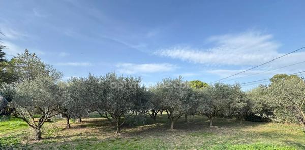 Maison à SAINT REMY DE PROVENCE avec vue Alpilles