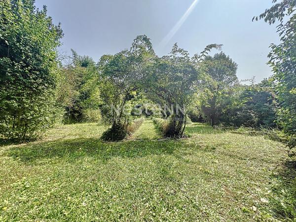 Maison Precy Sur Oise 7 pièces 171 m2