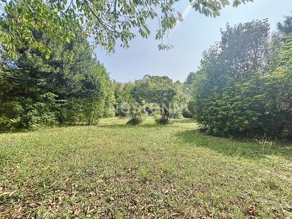 Maison Precy Sur Oise 7 pièces 171 m2