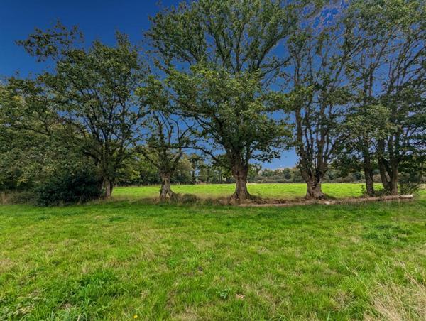 Maison  3 pièce(s) 120 m2