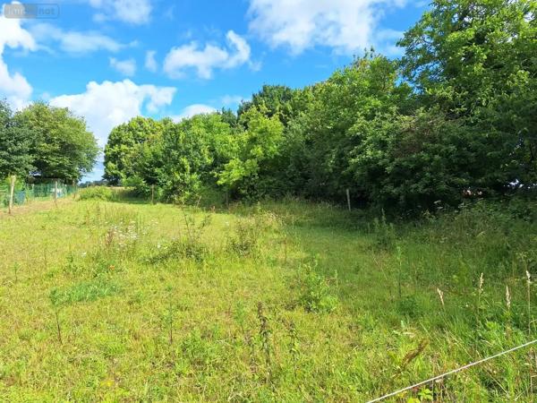 Achat - Maison Mauron 56430 4 pièces 79 m 2 2746 m 2