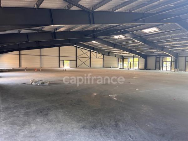 À vendre – Actif commercial neuf d’exception – Nord de Toulouse SAINT ALBAN (31)