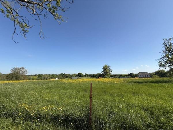Terrain à Batir à vendre à Faissault dans les Ardennes (08270), ref : 51066-1981