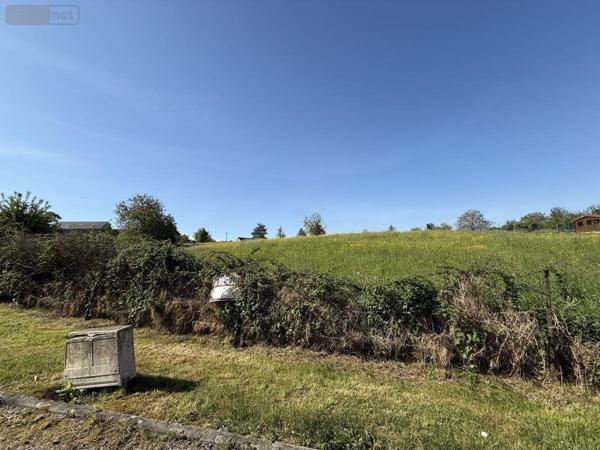 Terrain à Batir à vendre à Faissault dans les Ardennes (08270), ref : 51066-1981