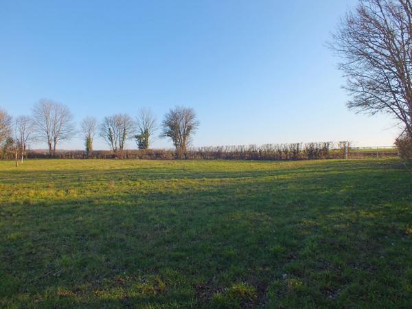 Dpt Côte d'Or (21), à vendre MUSIGNY terrain - Terrain de 5 990,00 m²