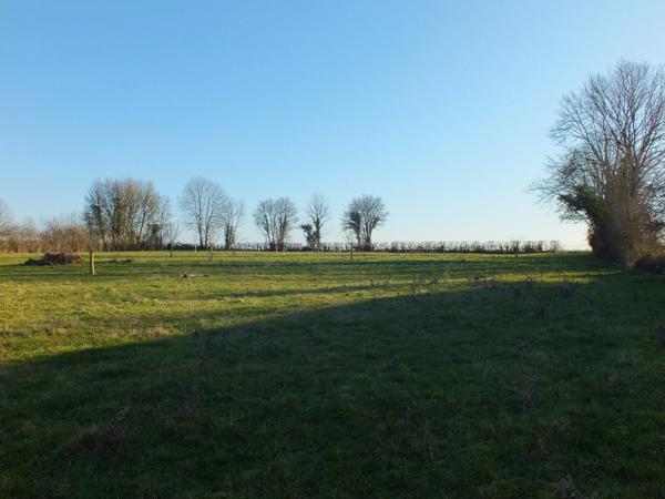 Dpt Côte d'Or (21), à vendre MUSIGNY terrain - Terrain de 5 990,00 m²