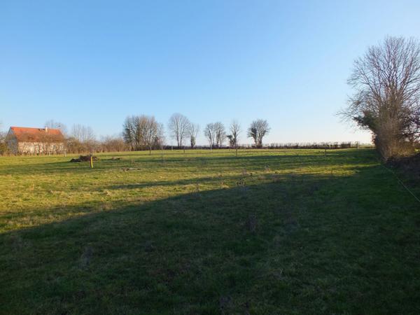 Dpt Côte d'Or (21), à vendre MUSIGNY terrain - Terrain de 5 990,00 m²