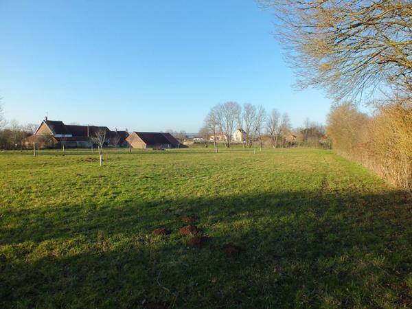 Dpt Côte d'Or (21), à vendre MUSIGNY terrain - Terrain de 5 990,00 m²
