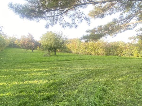 GANNAT 03800 – EXCEPTIONAL ESTATE WITH PRIVATE NATURAL PARK AND ARCHITECT-DESIGNED VILLA