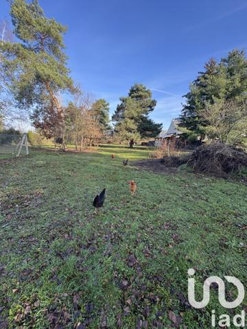 Terrain à vendre 3 113 m² Saint-Denis-de-l'Hôtel