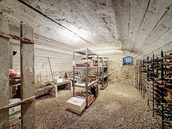 Superbe demeure dans le centre ville de Gouvernes - 212 m2 - 5 chambres (possibilité 7) - piscine chauffée - dépendances - garage double et cave - jardin de 3935 m2