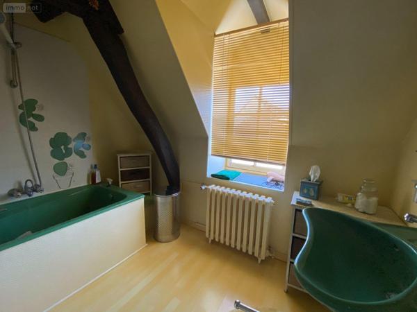 Maison à vendre à Buzançais dans l'Indre (36500), ref : 1035811