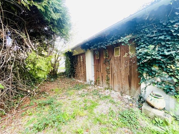 Maison à vendre  13 pièces - 289,27 m 2   CONDAT SUR VIENNE  - 87