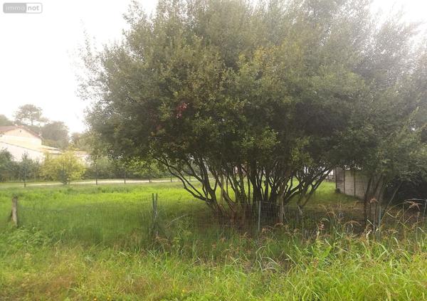 Terrain à Batir à vendre à La Tremblade en Charente-Maritime (17390), ref : FD/JOM/25-36