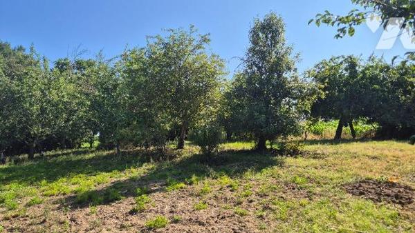 5 MIN DE GORRON en campagne : une ancienne maison d'habitation comprenant:
- deux pièces princ...