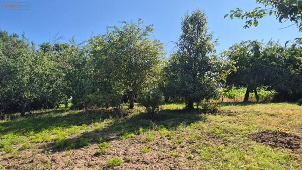 Maison à restaurer à vendre à Gorron en Mayenne (53120), ref : 2874