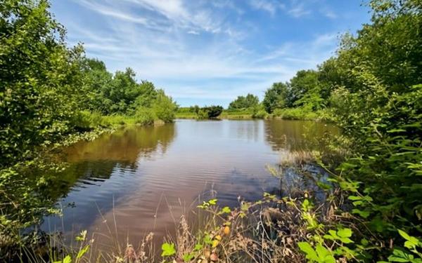 Maison à vendre    5 pièces • 161,73 m2 Veilleins