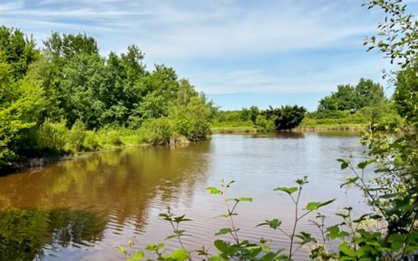 Maison à vendre    5 pièces • 161,73 m2 Veilleins