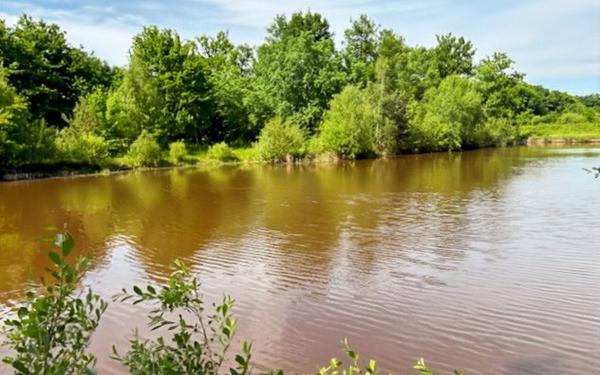 Maison à vendre    5 pièces • 161,73 m2 Veilleins