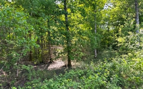 Maison à vendre    5 pièces • 161,73 m2 Veilleins