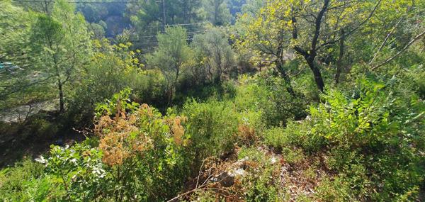 Vente Terrain 970 m2 à Le Luc