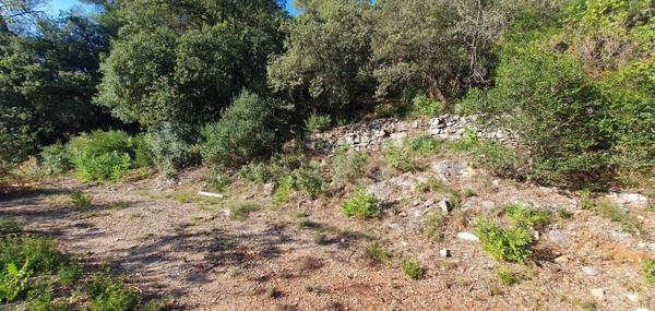 Vente Terrain 970 m2 à Le Luc