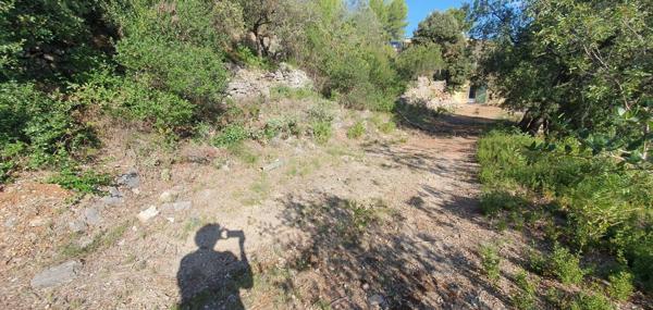 Vente Terrain 970 m2 à Le Luc