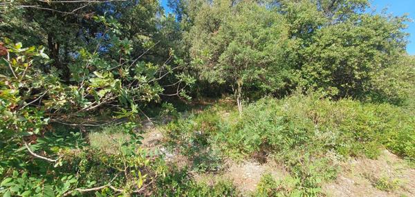 Vente Terrain 970 m2 à Le Luc