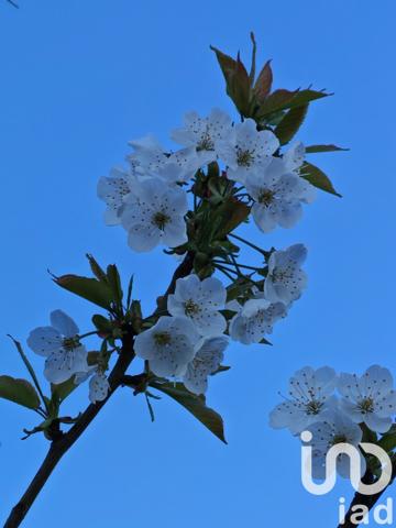 Maison rustique 5 pièces de 138 m² à Vendœuvres (36500)
