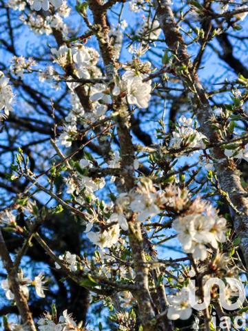 Maison rustique 5 pièces de 138 m² à Vendœuvres (36500)