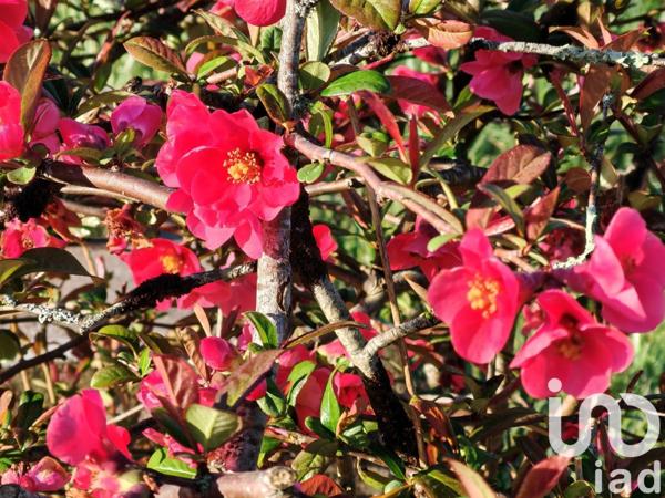 Maison rustique 5 pièces de 138 m² à Vendœuvres (36500)