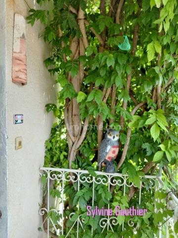 Maison à vendre 7 pièces LA ROCHE DES ARNAUDS (05)