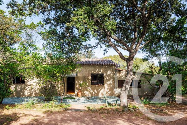 Maison à vendre  4 pièces - 118,89 m2 PORTO VECCHIO - 201