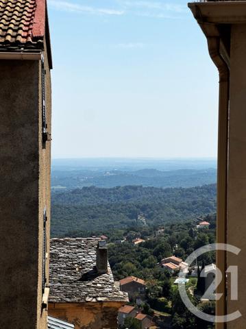 Appartement F2 à vendre  2 pièces - 27,69 m2 CERVIONE - 202