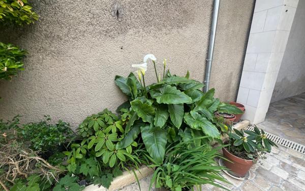 Maison à vendre    5 pièces • 157,20 m2 Meschers-sur-Gironde