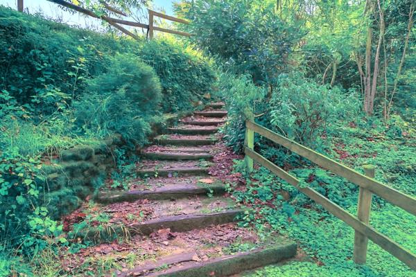 Propriété en Cévennes avec gîtes