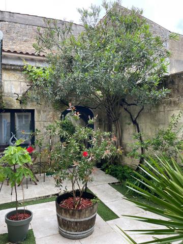 Immeuble Rochefort 9 pièce(s) 208 m2