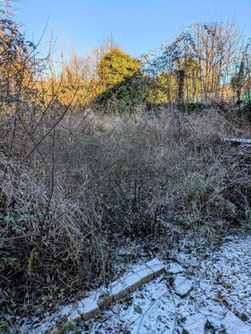 Atelier et son jardinet à transformer