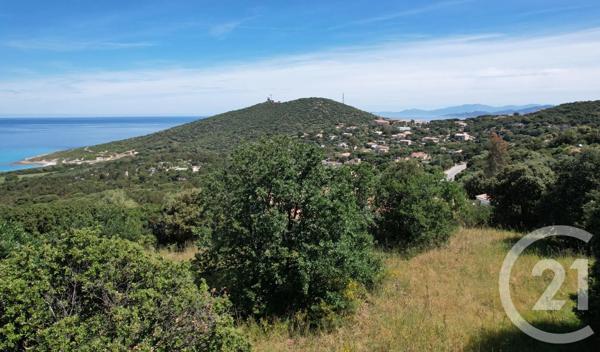 Terrain à vendre  3119 m 2   CORBARA  - 202