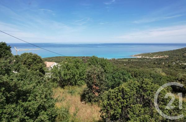 Terrain à vendre  3119 m 2   CORBARA  - 202