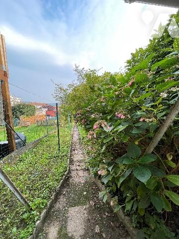 Maison de ville avec jardin et jardinet